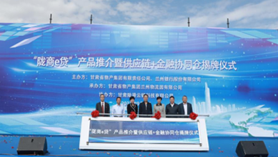 通過(guò)發(fā)行公司債券、不動(dòng)產(chǎn)投資信托基金（REITs）、培育上市公司等債權(quán)、股權(quán)融資工具和發(fā)起設(shè)立產(chǎn)業(yè)基金，拓寬多元化融資渠道；提供貨物在途監(jiān)管和在庫(kù)監(jiān)管，引入銀行、信托等金融機(jī)構(gòu)，開(kāi)展倉(cāng)單質(zhì)押、保理等業(yè)務(wù)；逐步拓展B2B供應(yīng)鏈服務(wù)平臺(tái)服務(wù)范圍，通過(guò)倉(cāng)配一體化、“隴易商”、供應(yīng)鏈+金融為區(qū)域流通行業(yè)及相關(guān)產(chǎn)業(yè)客戶(hù)提供“四流合一”的完整供應(yīng)鏈服務(wù)解決方案。