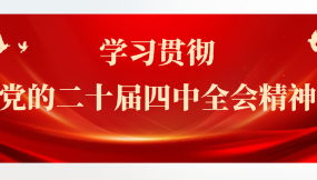  學習貫徹黨的二十屆四中全會精神 | 甘肅國際物流集團所屬企業(yè)學習貫徹黨的二十屆四中全會精神（五）