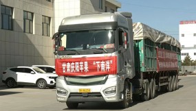  甘肅國(guó)際物流集團(tuán)助力慶陽(yáng)蘋果出口東南亞